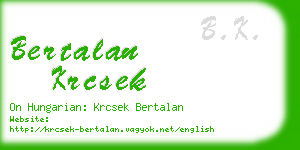 bertalan krcsek business card